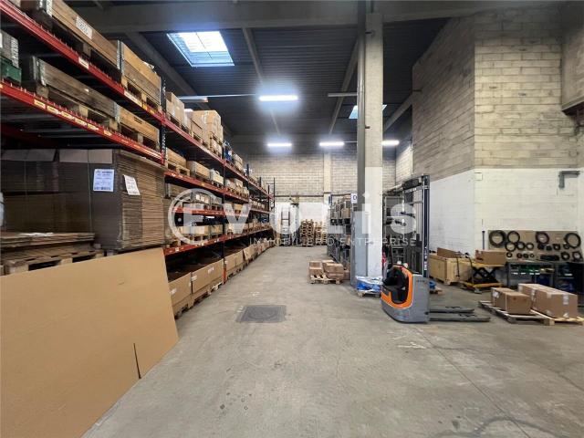 Local Commercial location à Torcy, Lognes
