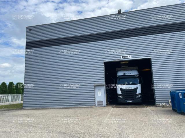 Local Commercial location à Lyon, Rhône