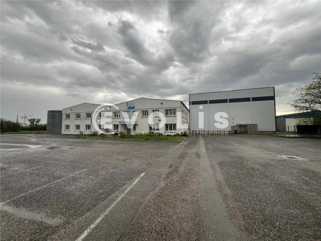 Local Commercial vente à Meyzieu