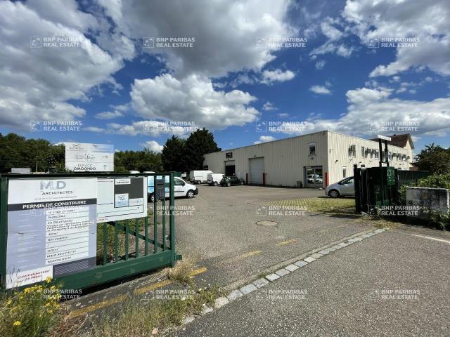 Local Commercial vente à Strasbourg, Souffelweyersheim