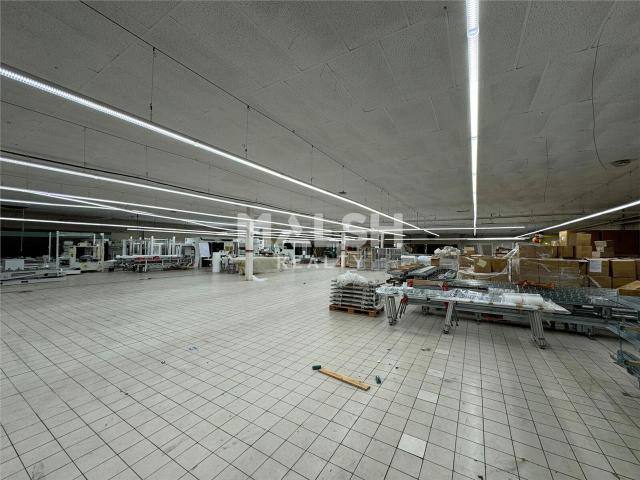 Local Commercial vente à Saint-Étienne, Saint-etienne