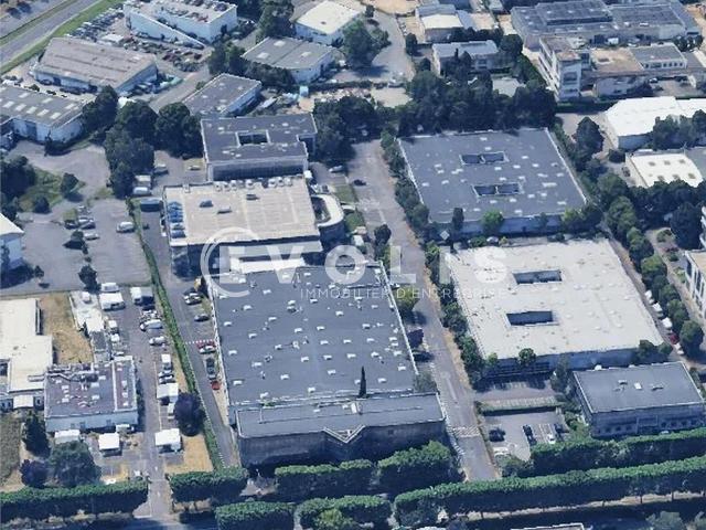 Local Commercial location à Palaiseau, Les Ulis