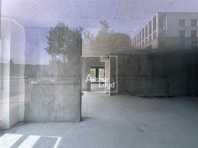 Local Commercial vente à Grenoble, Le Pont-de-claix