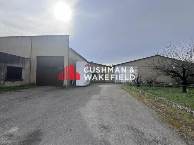 Local Commercial vente à Montauban, Grisolles