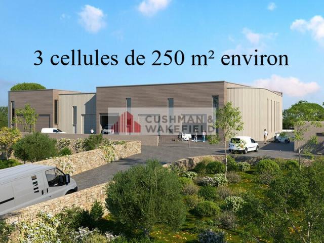 Local Commercial vente à Saint-georges-d'orques