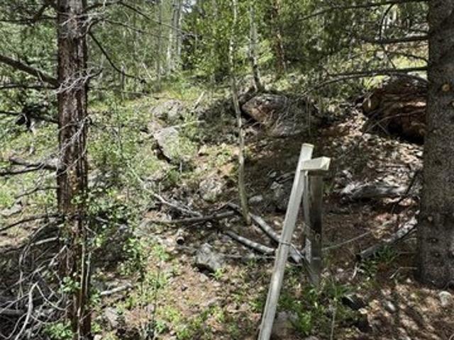 Land for sale in Clear Creek, Colorado