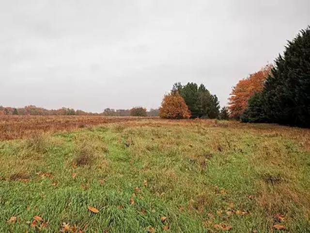 Terrain vente à Loches