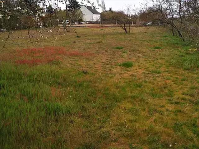 Terrain vente à Loches