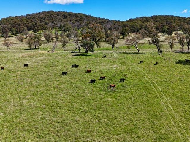 Cottage for sale in Walcha, New South Wales
