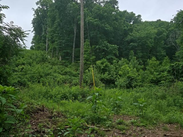 Land for sale in Ark