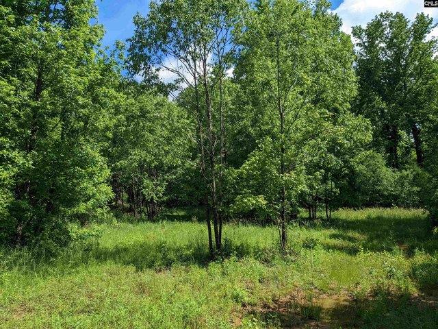 Land for sale in Union, South Carolina