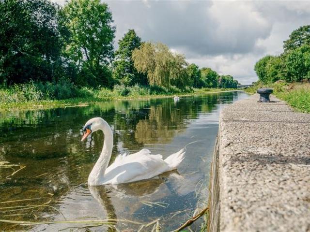 Detached House for sale in Bluebell, Dublin