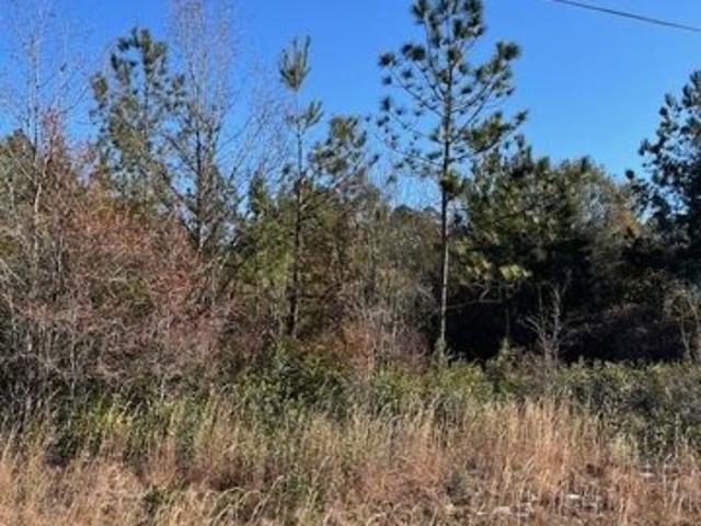 House for sale in Homerville, Georgia