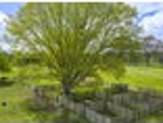 House for sale in Waikato