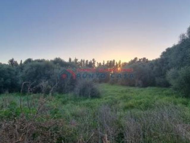 Terreno in vendita a Trapani, Sicilia