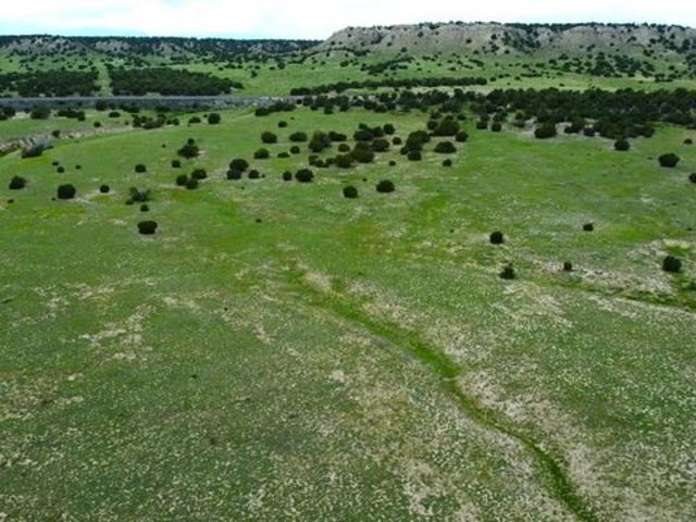 Land for sale in Rye, Colorado