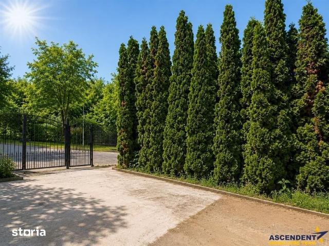 Apartament închirieri în Brașov
