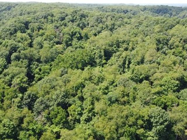 Land for sale in Chester, West Virginia
