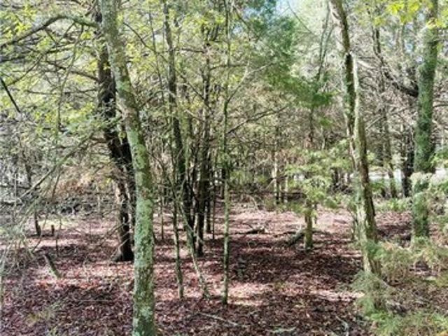 Land for sale in Garfield, Benton County