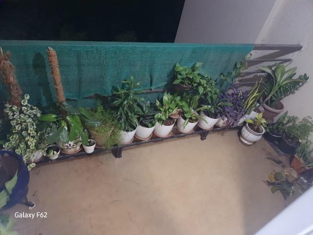 Flat for rent in Kalwa, National Capital Territory Of Delhi