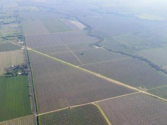Land for sale in Lodi