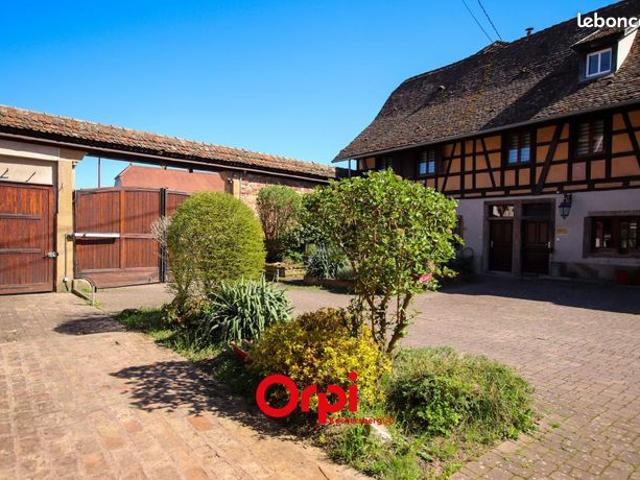Appartement vente à Strasbourg, Mundolsheim