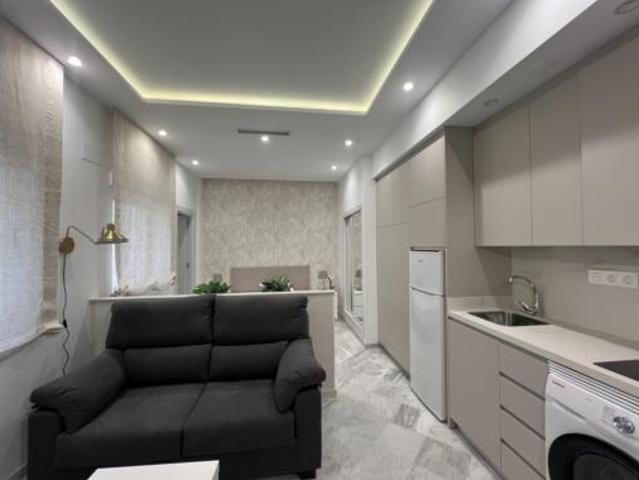 Loft en alquiler en Centro, Comarca de la Vega de Granada