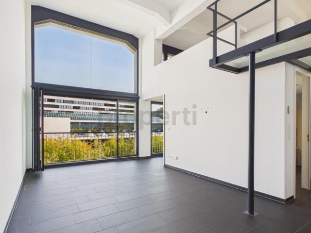Loft mieten in Baden, Aargau