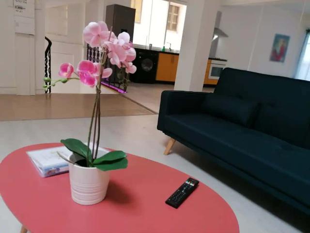 Appartement location à Castres, Graulhet