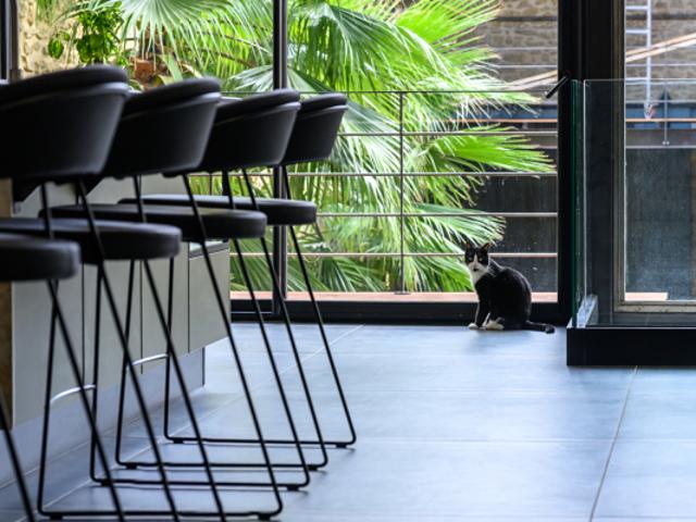 Appartement vente à Sarrians, Vaucluse