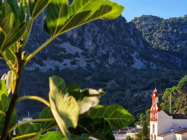 Loft en venta en Sierra de Cádiz, Andalucía