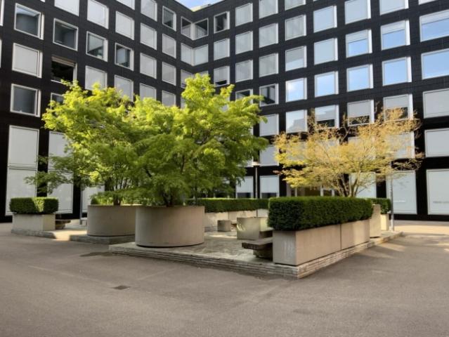 Loft mieten in Einigen, Zürich