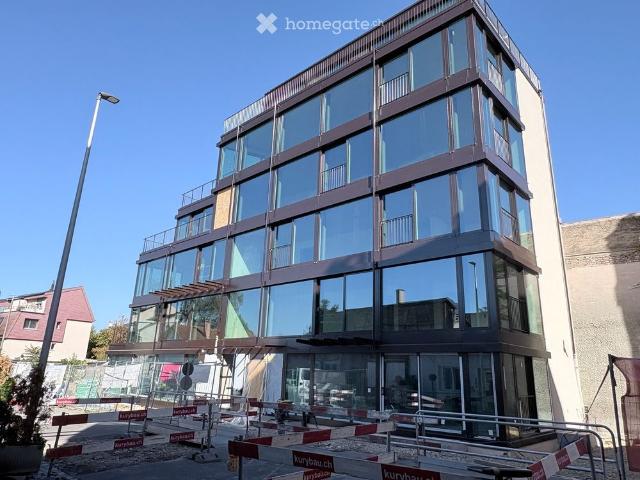Apartment mieten in Birsfelden, Bezirk Arlesheim