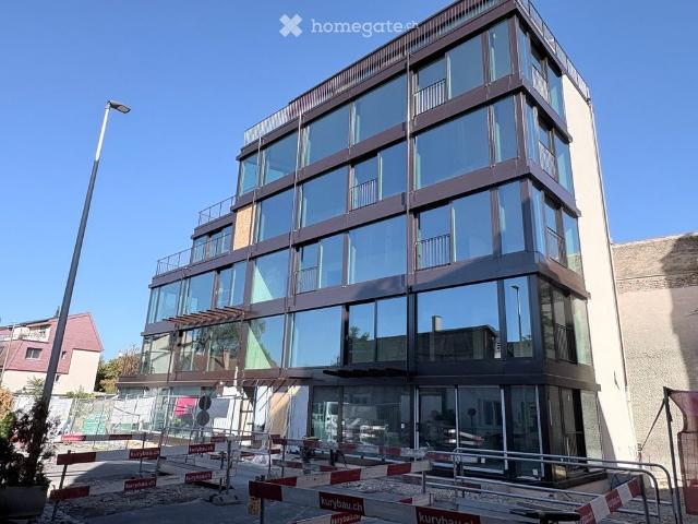 Apartment mieten in Birsfelden, Bezirk Arlesheim