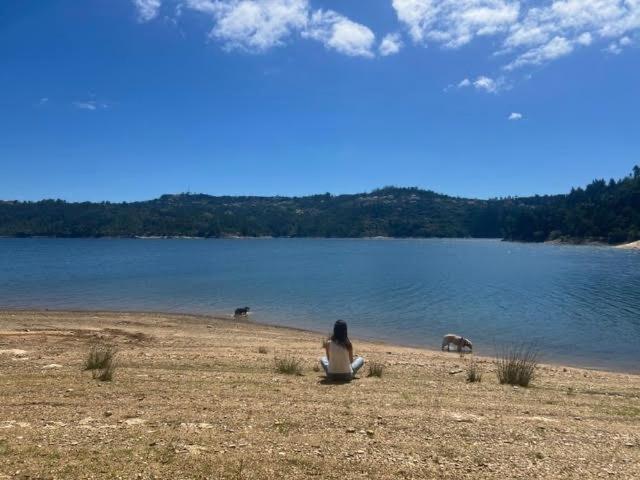 Apartamento alugar em Tomar, Santarém