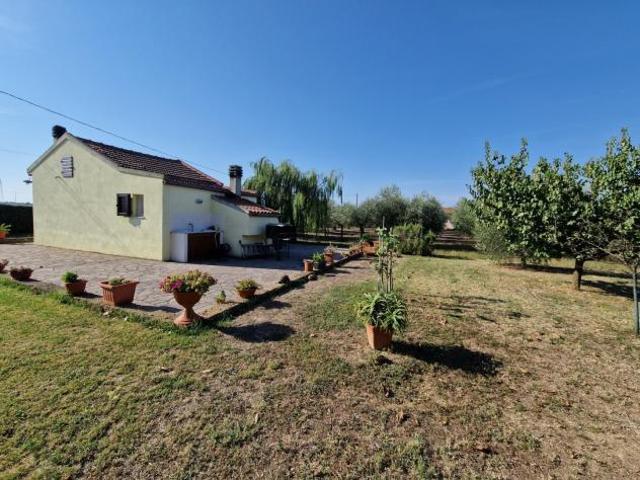 Loft in vendita a Campiglia Marittima, Toscana
