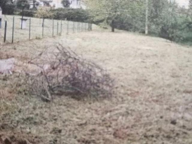 Loft in vendita a Palvotrisia, Castelnuovo Magra