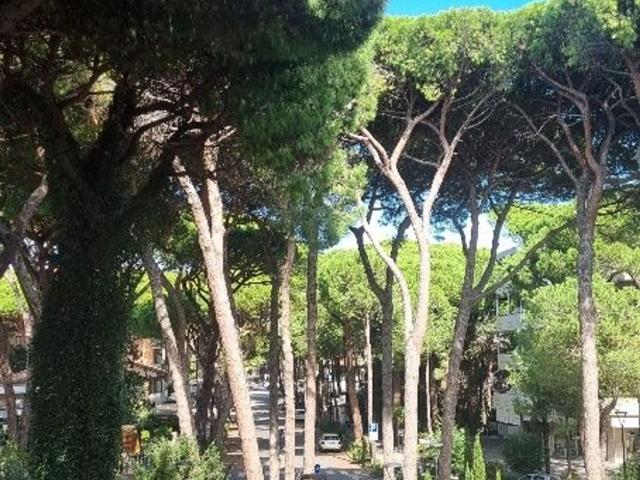 Loft in vendita a Milano Marittima, Cervia