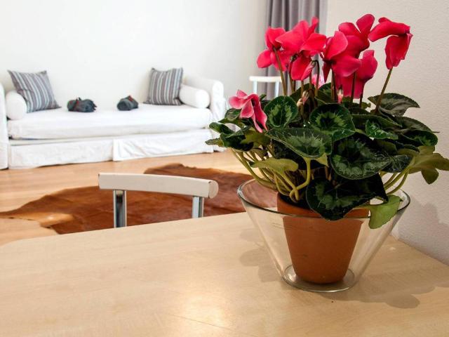 Loft in affitto a Santo Stefano, Bologna