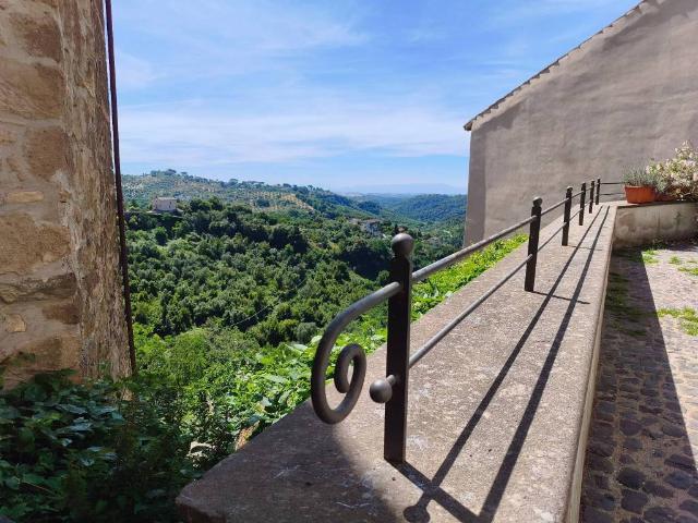 Loft in affitto a Roma Capitale, Lazio