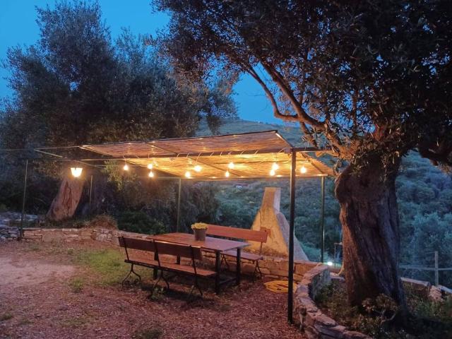 Loft in affitto a Centola, Campania
