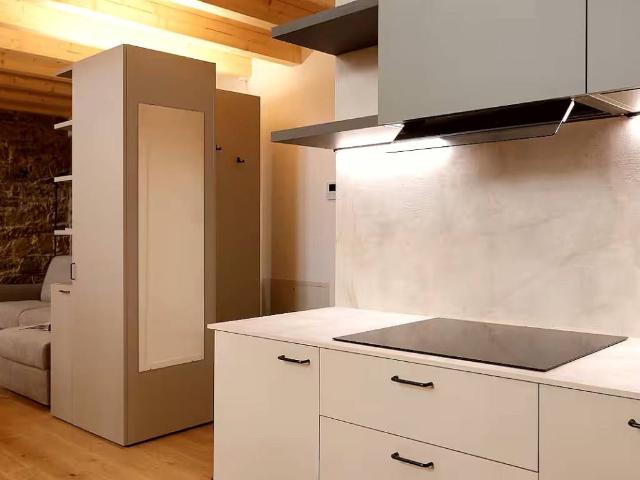 Loft in affitto a Città Nuova-Barriera Nuova-San Vito-Città Vecchia, Villa Opicina