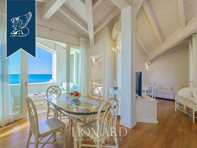 Loft in vendita a Bibbona, Toscana