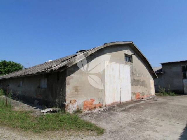 Loft in vendita a Fontevivo, Reggio Emilia