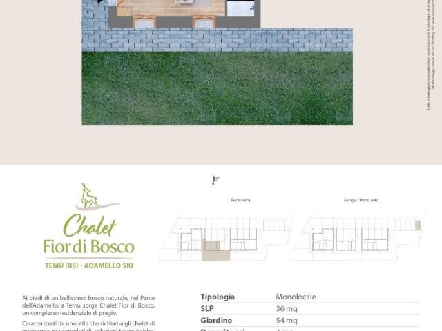 Loft in vendita a Comunità montana della valle Camonica, Temù