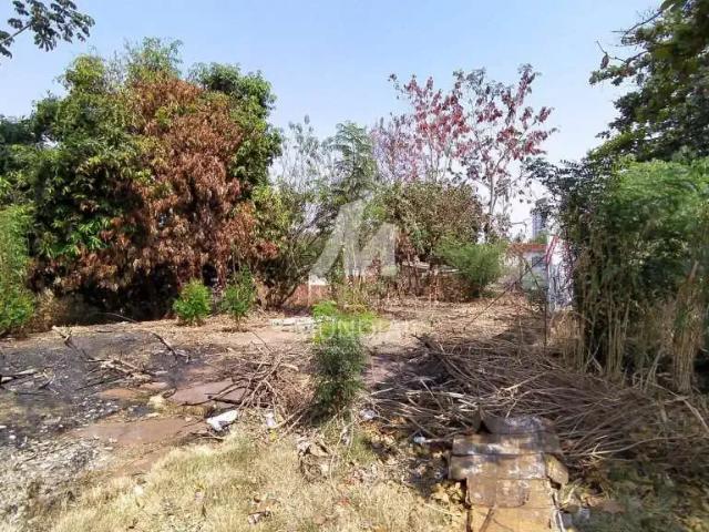 Loft aluguel em Região Imediata de Ribeirão Preto, Região Metropolitana de Ribeirão Preto