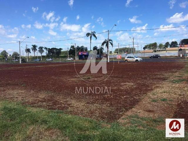 Loft aluguel em Região Imediata de Ribeirão Preto, Região Metropolitana de Ribeirão Preto