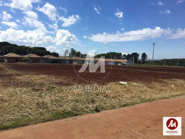 Loft aluguel em Região Imediata de Ribeirão Preto, Região Metropolitana de Ribeirão Preto