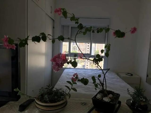 Loft aluguel em Região Imediata de São Paulo, Região Metropolitana de São Paulo