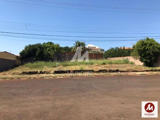 Loft venda em Jardim Santa Cecília, Ribeirão Preto